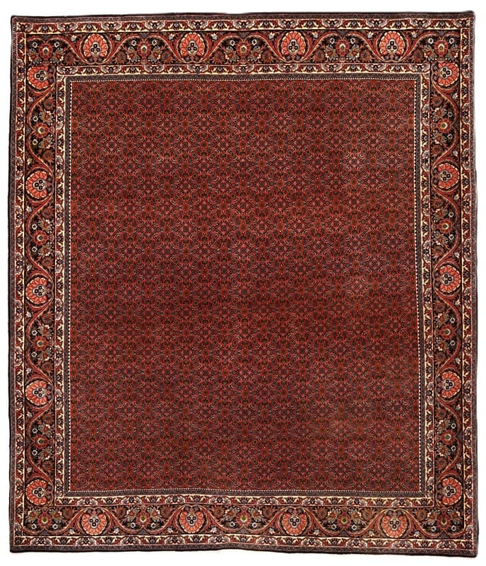 Bidjar Teppich 292x256