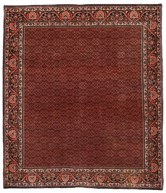 Bidjar carpet 292x256