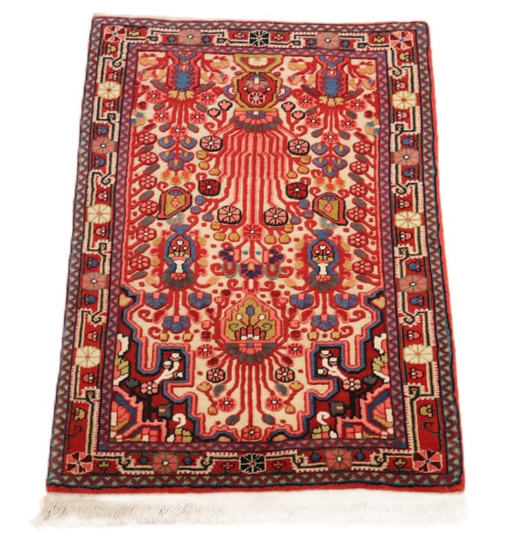 Jozan Teppich 103x60