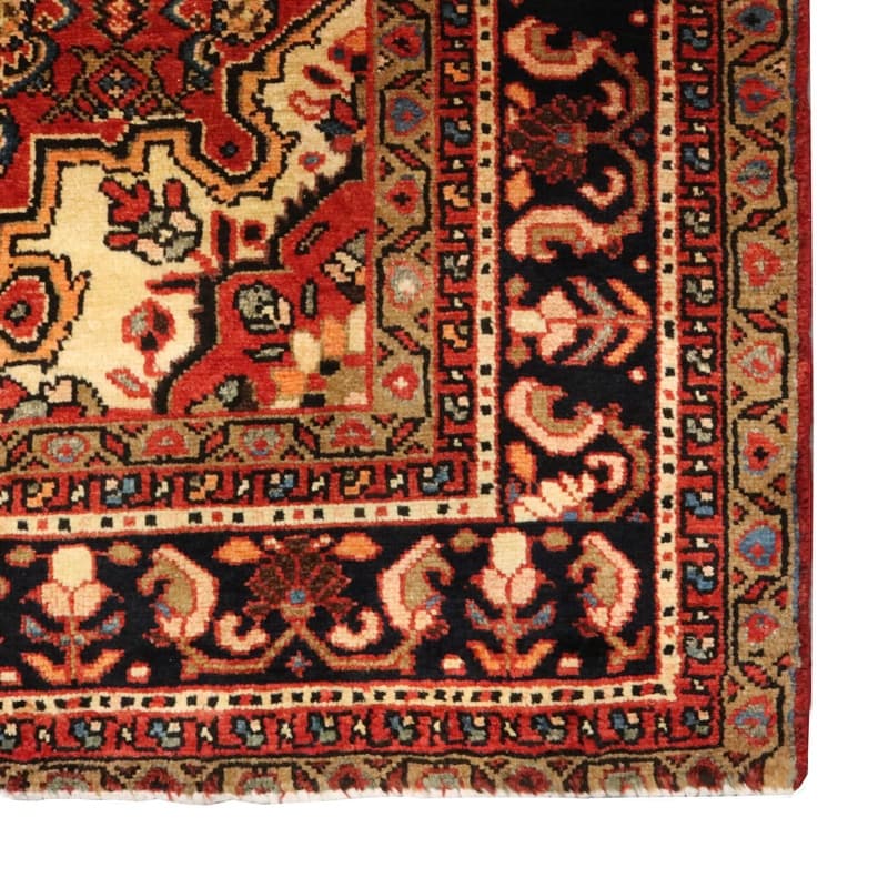 HOSEANABAD Teppich 212x140