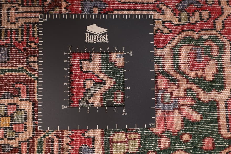 BAKHTIAR Teppich  245x167 - Image 6