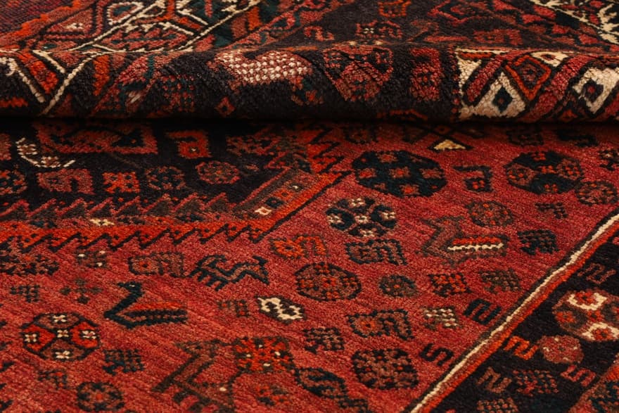 Schiraz 264x170