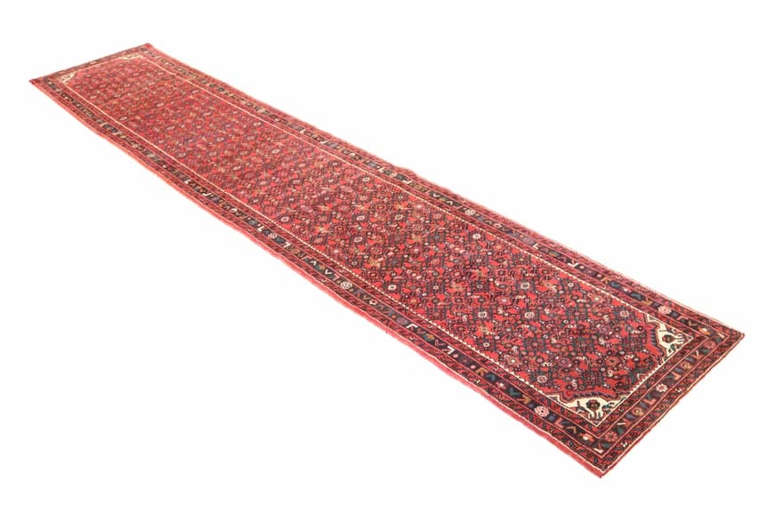 Hossenabad Carpet 494x87