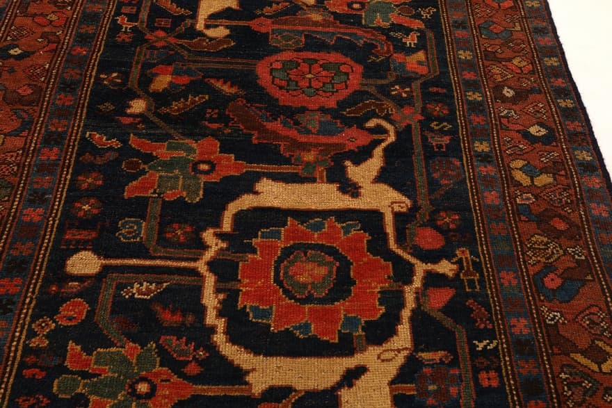 Bidjar Carpet 550x115