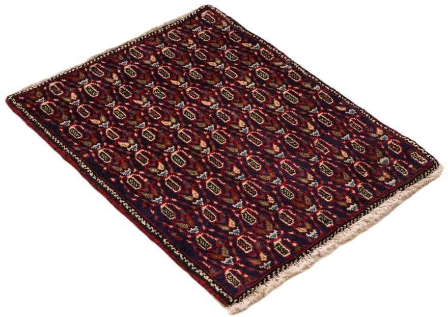 Sirjan Carpet  67x52 - Image 4