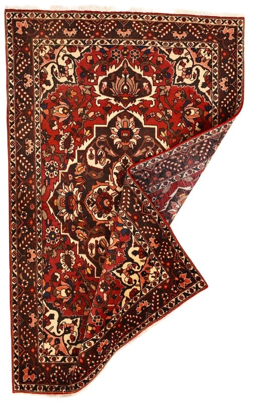BAKHTIAR Carpet 227x144 - Image 5