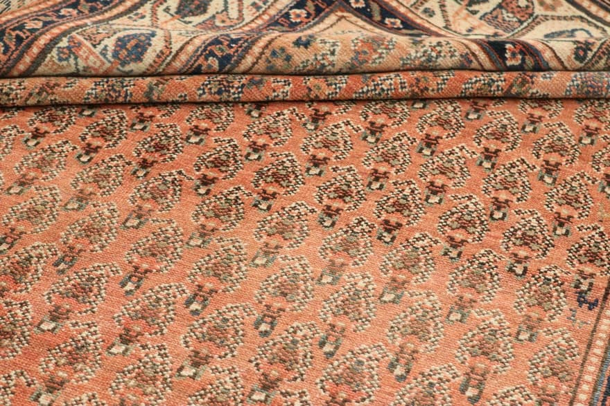 Malayer 313x160