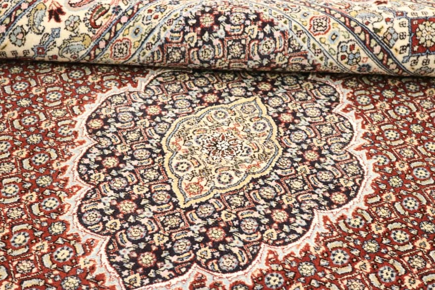 MOUD Carpet 249x165