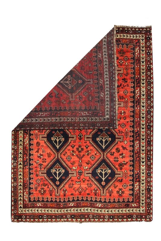 Shiraz 314x230