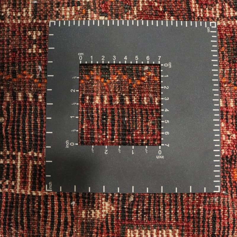 Shiraz Carpet 296x215