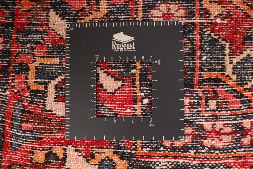 BAKHTIAR Carpet  302x160 - Image 5