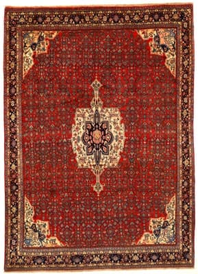 Bidjar Teppich 290x208