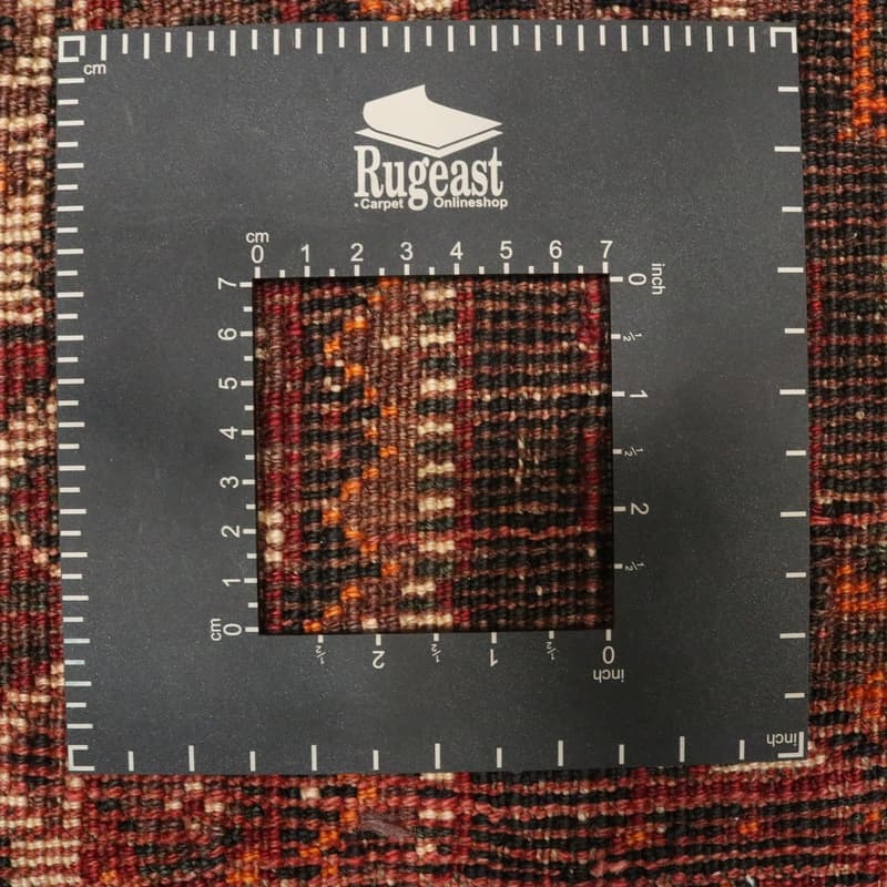 Shiraz Carpet 296x215