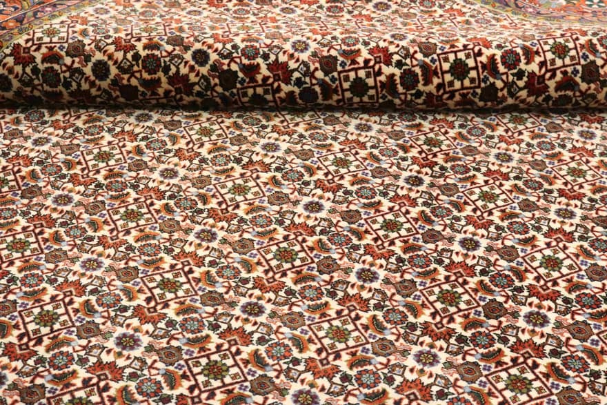 Bidjar Carpet 308x209