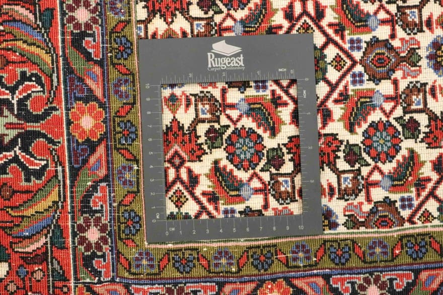 Bidjar Carpet 308x209