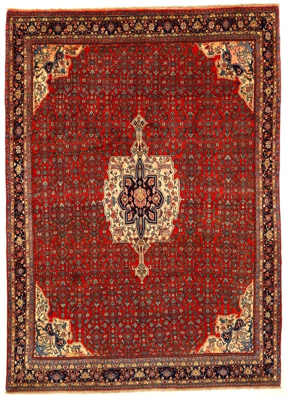 Bidjar Teppich 290x208