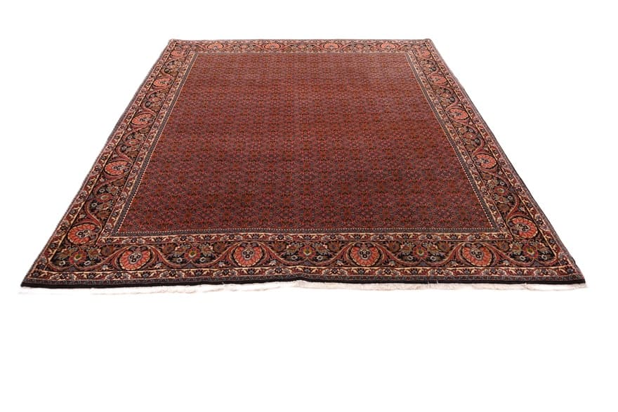 Bidjar carpet 292x256