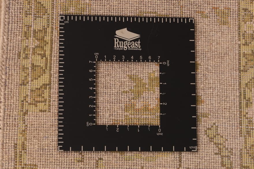 Desinger Modern Lotus Teppich 245x175
