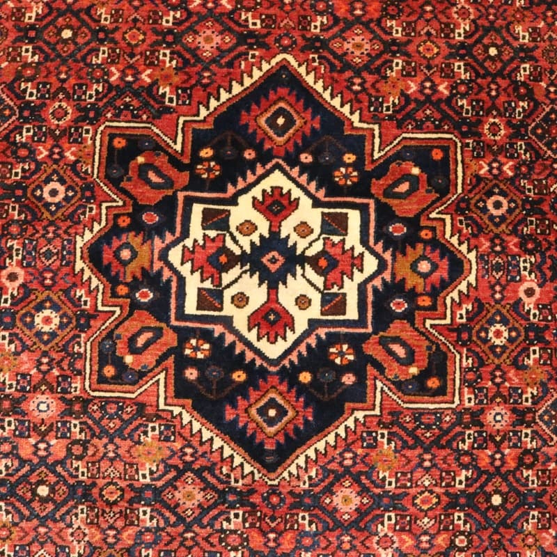 HOSEANABAD Carpet 218x157