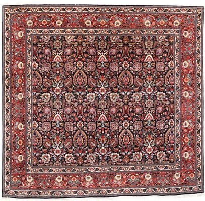 Bidjar Teppich 243x252