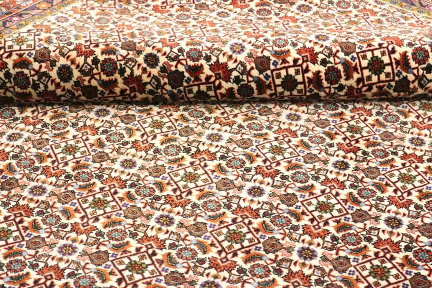 Bidjar Carpet 308x209