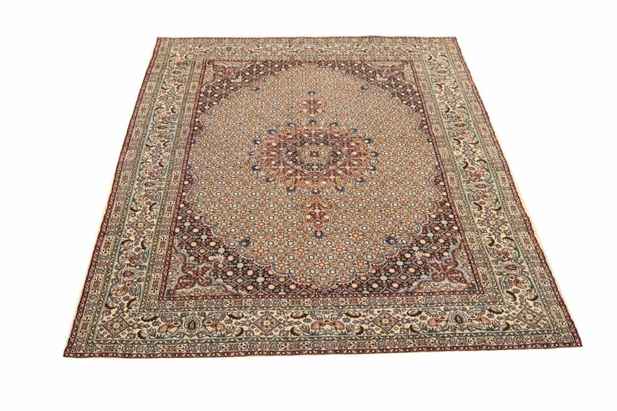 MOUD 241x170