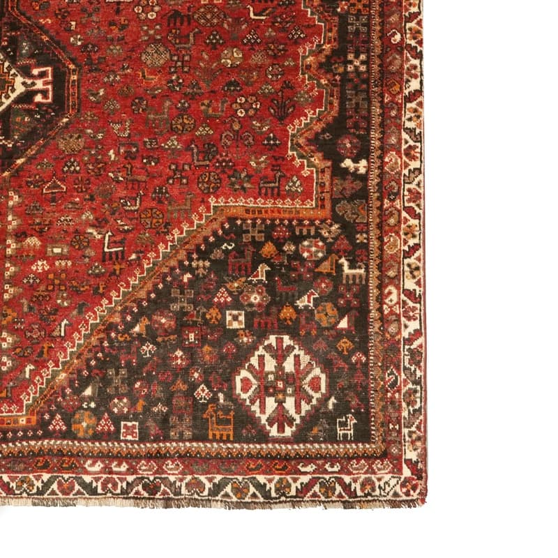 Shiraz Carpet 296x215