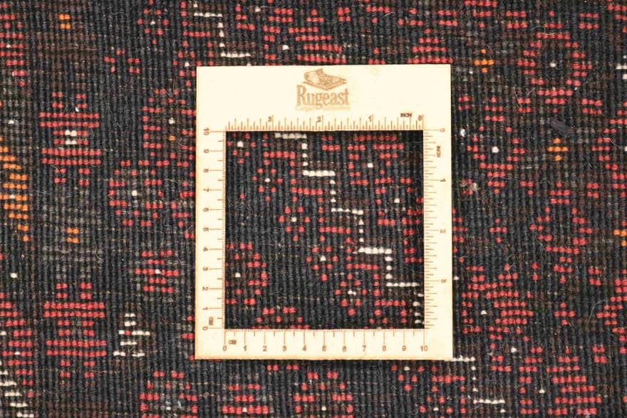 SHIRAZ 299x203