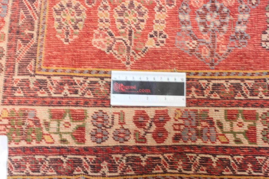 kashkoli  Teppich 247x149