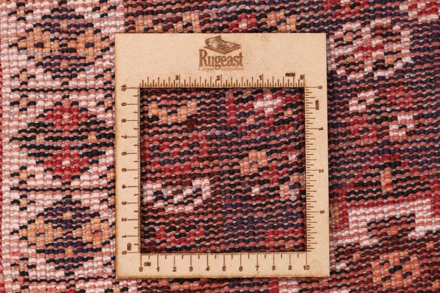 Shiraz Carpet 253x145