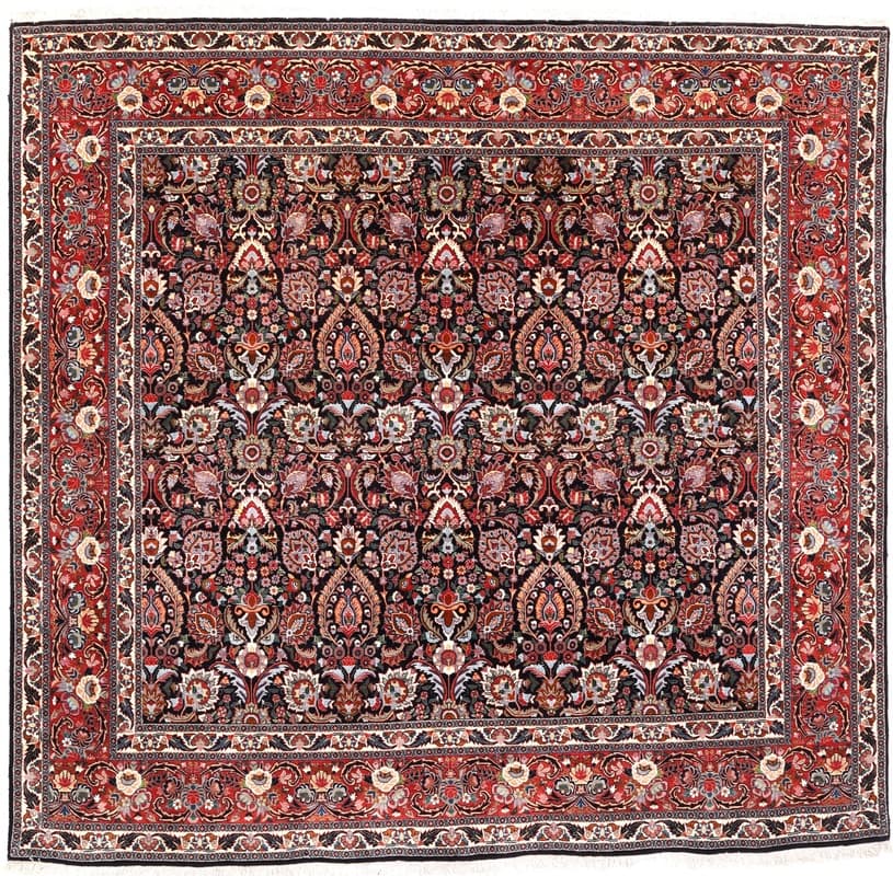 Bidjar Teppich 243x252