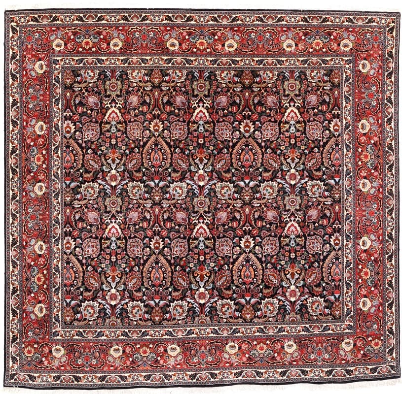 Bidjar Carpet 243x252