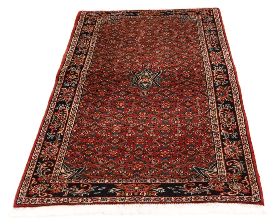 Bidjar 155x100 - Image 4
