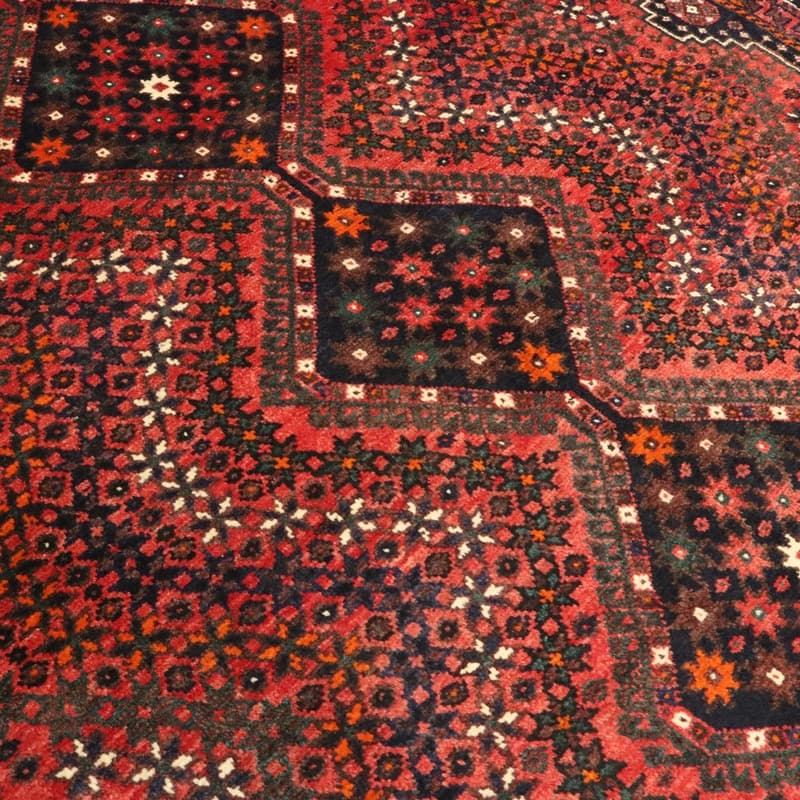 Shiraz 290x207