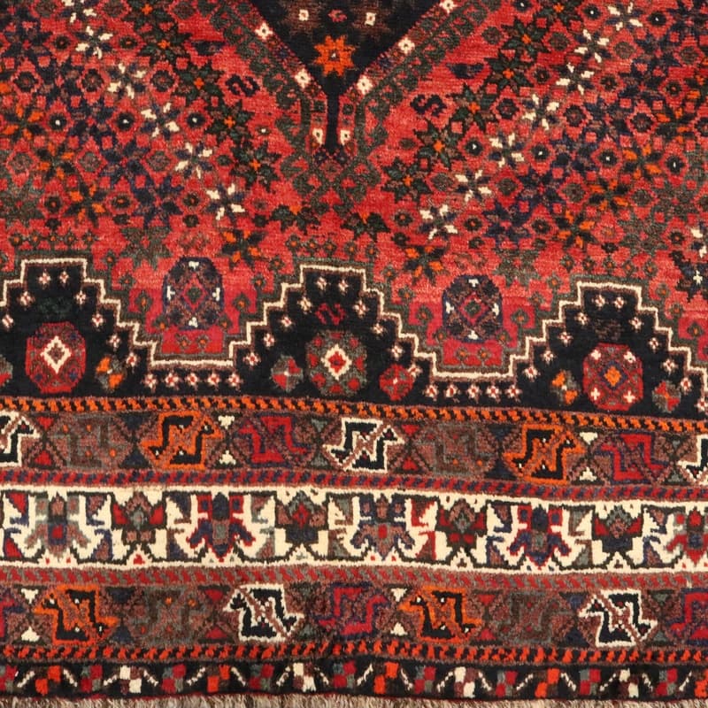 Shiraz 290x207