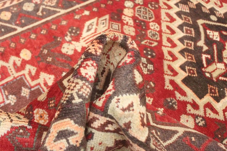 Shiraz Carpet 256x150