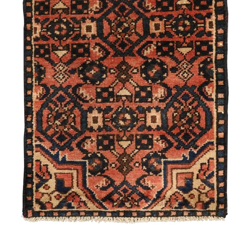Hosenabad Carpet 393x45