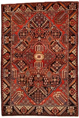 Save Carpet  205x140