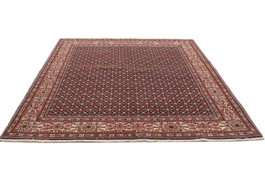 Moud  Teppich228x161