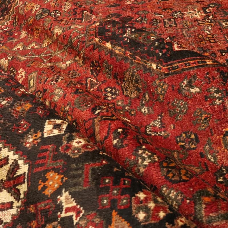 Shiraz Carpet 296x215