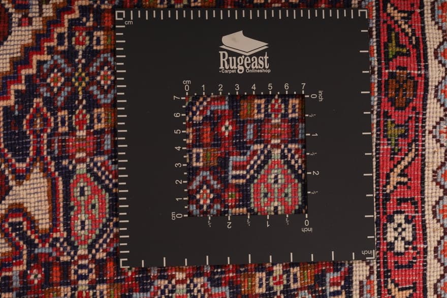 Bidjar  Carpet 255x57