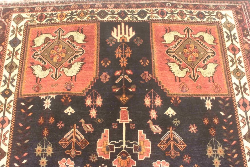 Ghashghai Carpet 277x159