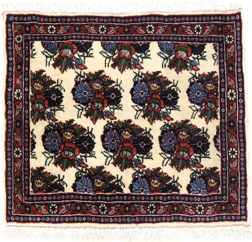 Bidjar Carpet  50x57