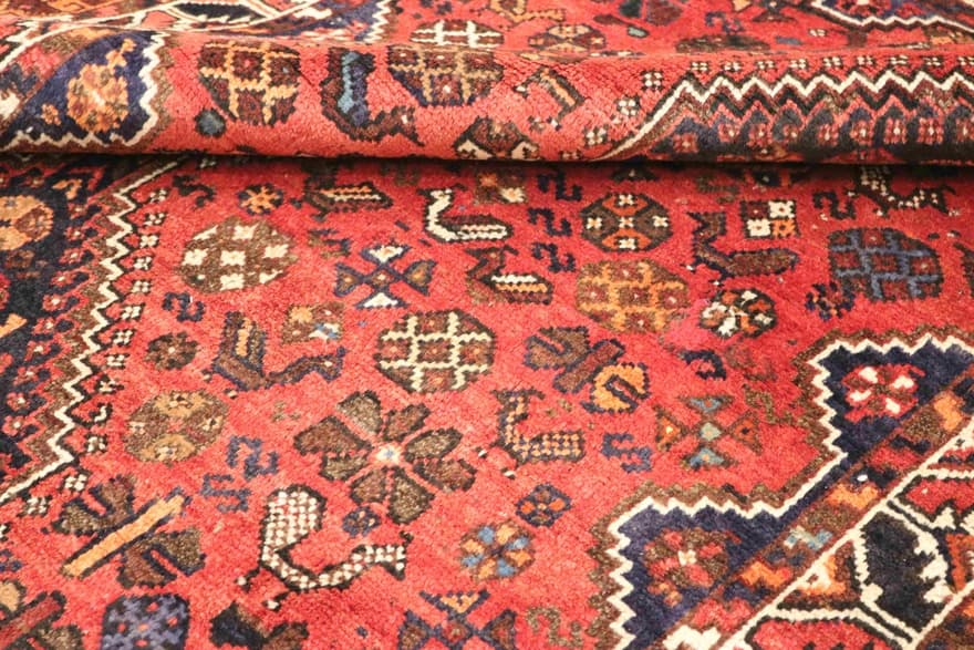 SHIRAZ 221x161 - Image 6