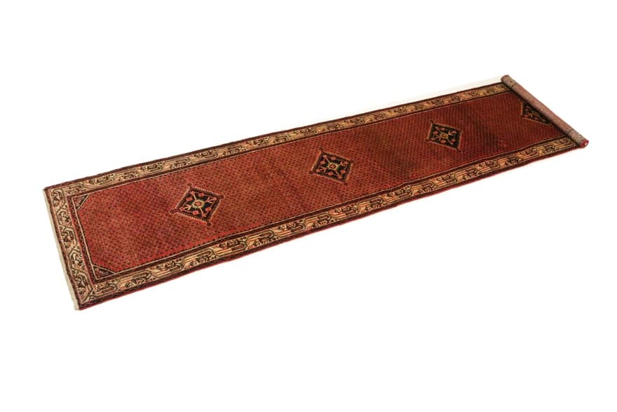 Hamadan Carpet 395x82