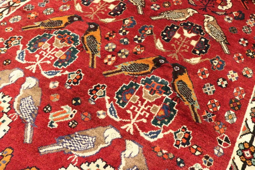 SHIRAZ 291x166 - Image 3