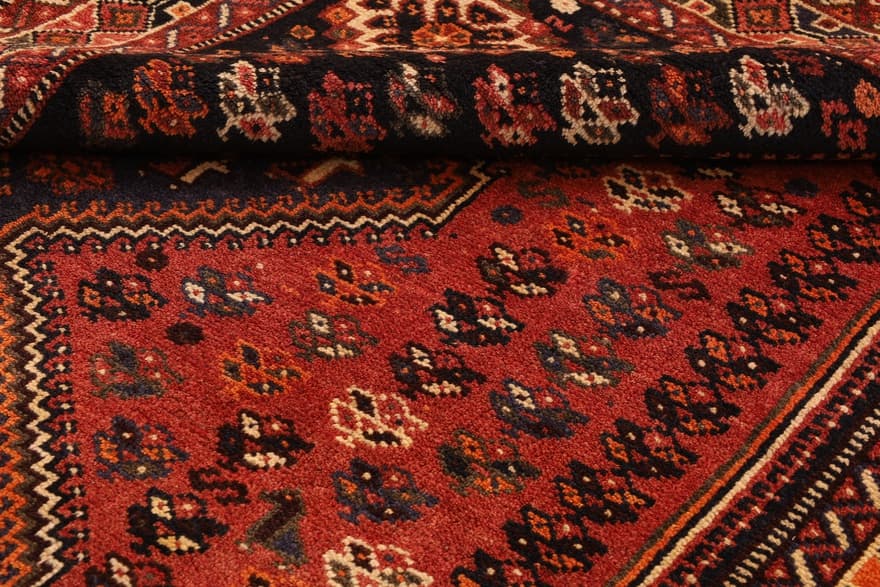 Schiraz 246x163