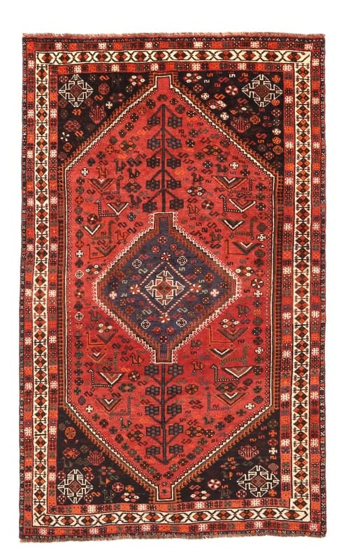 Shiraz Carpet 252x161