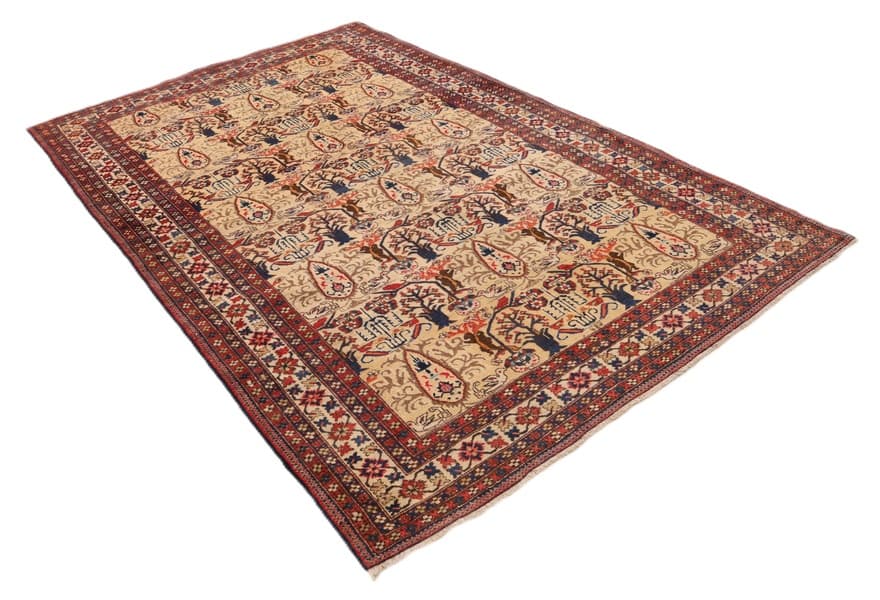Azrbeijan Teppich 254x169