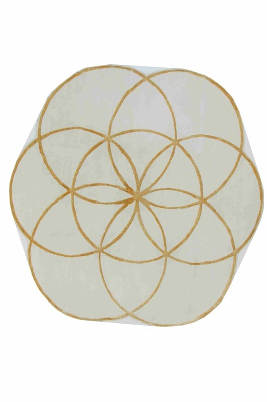Modern Lotus Teppich 206x206 - Image 1